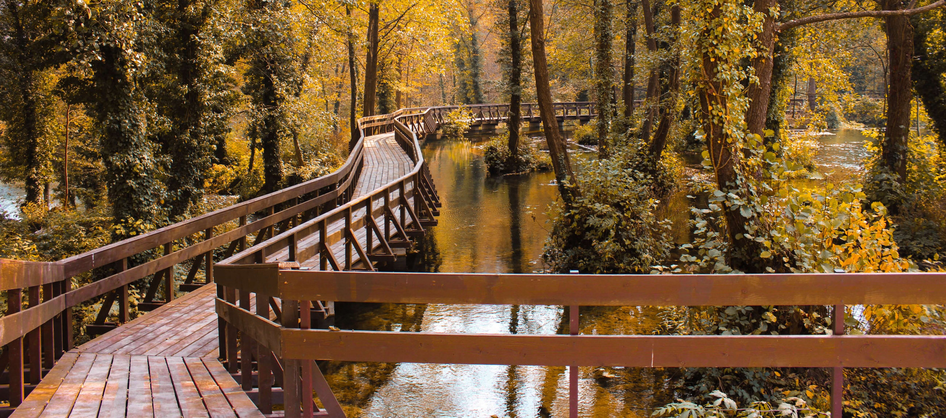 long brown wooden bridge going through the woods in fall season