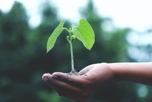 climate change PE029