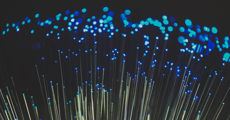 fiber optic light