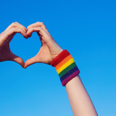 hands heart pride SH001 v2