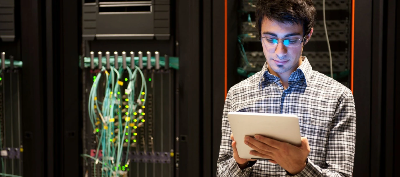 information technology professional CV001