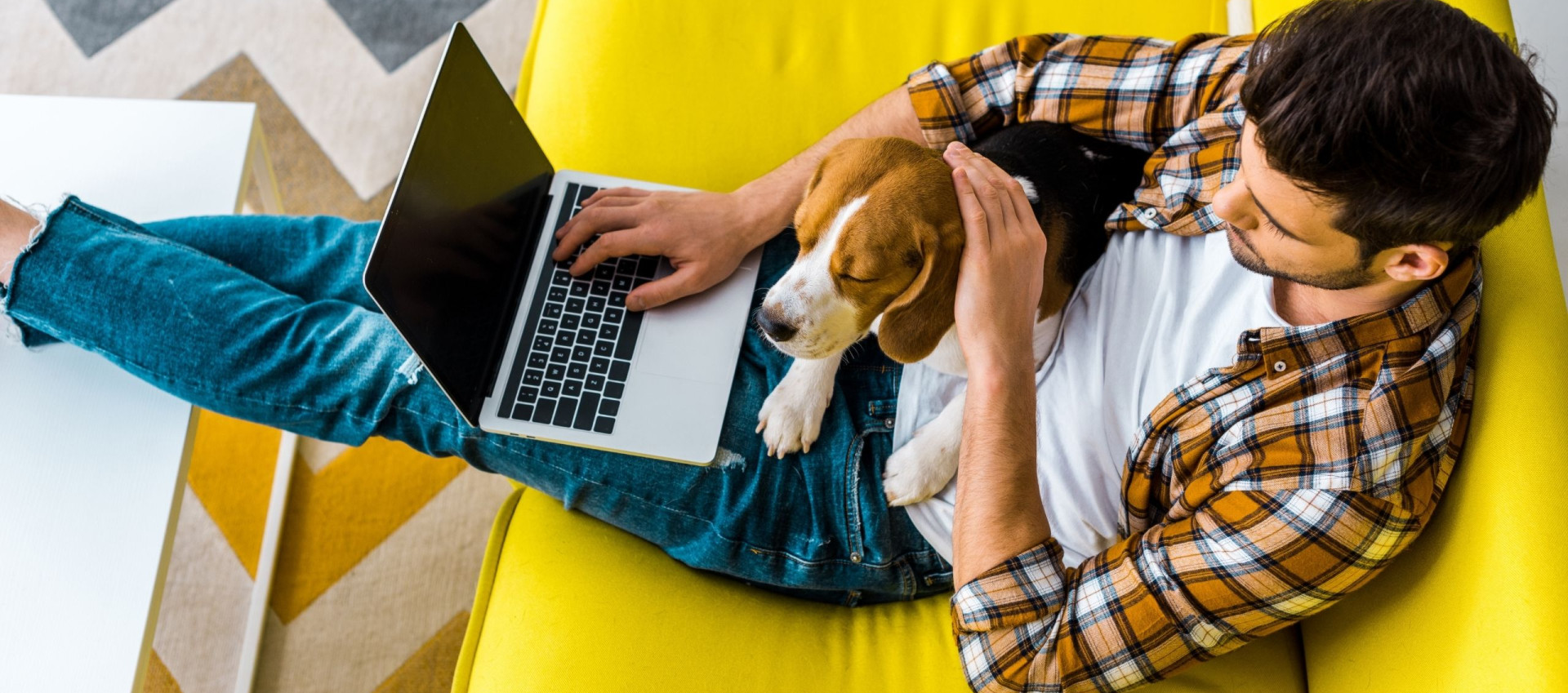 man at computer with dog SH001 v2