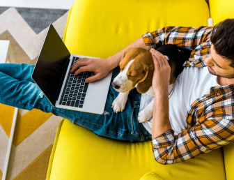 man at computer with dog SH001 v2