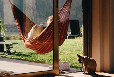 person hamock cat UN002