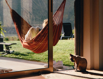 person hamock cat UN002