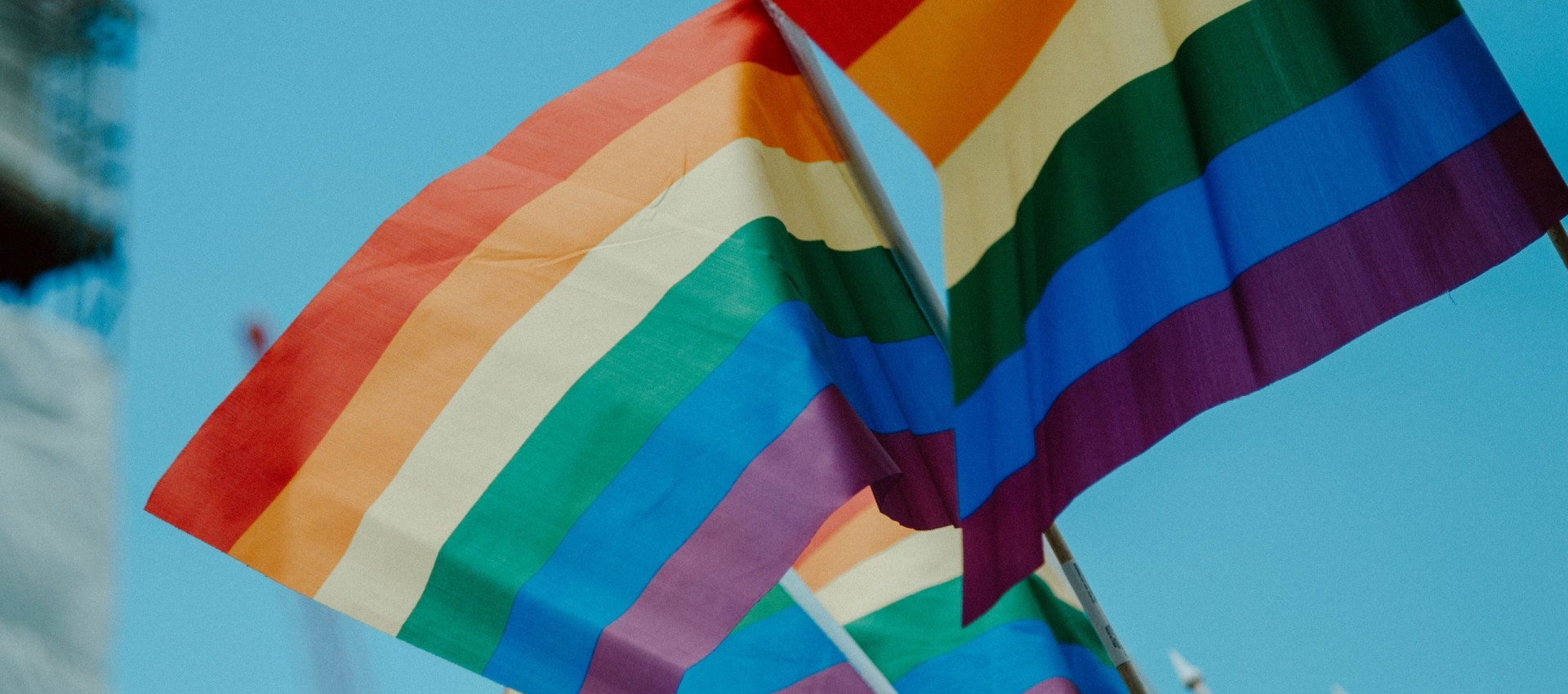 rainbow flags pride UN001