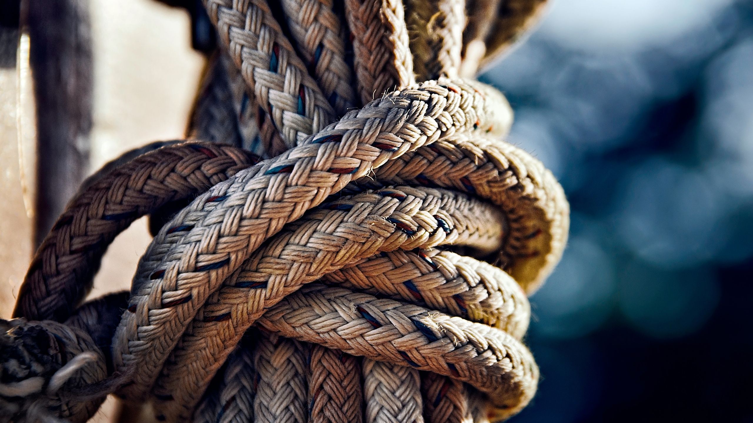 Resilience Rope Adaptability and Resilience—The Key to Being a Change Agent