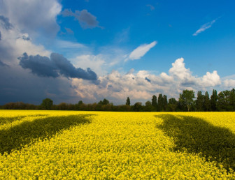ukraine flag abstractPE018