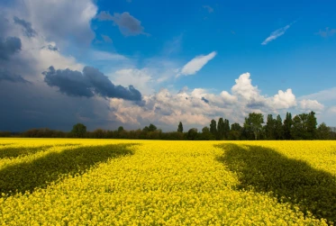 ukraine flag abstractPE018