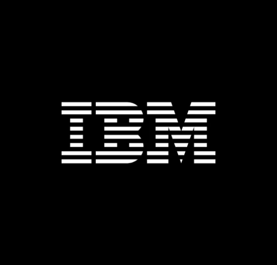 IBM Logo Reverse