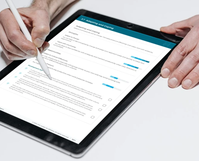 skills development report preview image