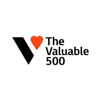 logo the valuable 500 v3