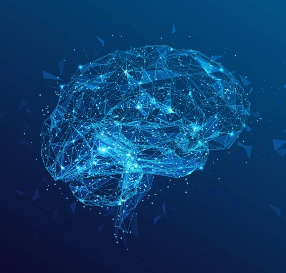 abstract brain SH001