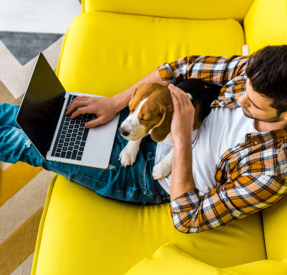 birds eye view of man in casual clothing sitting on a yellow sofa with laptop and dog on his lap