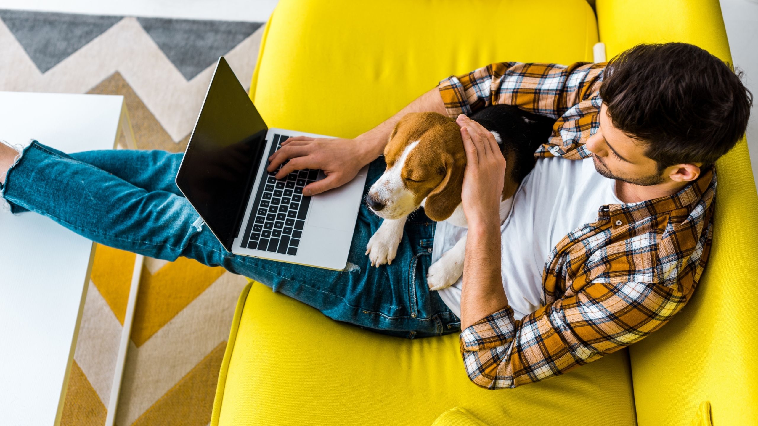 blog-man-at-computer-with-dog-SH001 blog-man-at-computer-with-dog-SH001